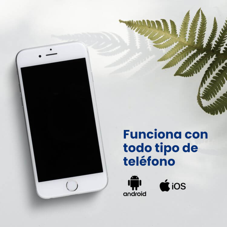 Amplificador de Pantalla HD para Celular 📱